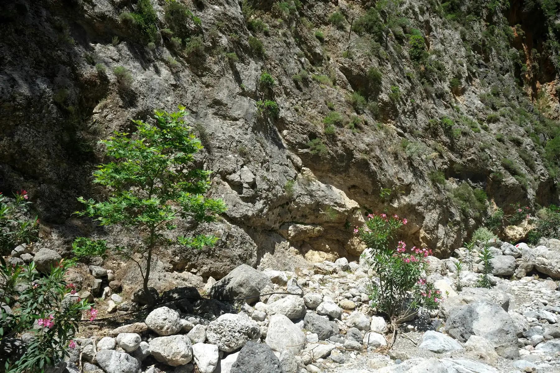 The Natural Tour of Imbros Gorge