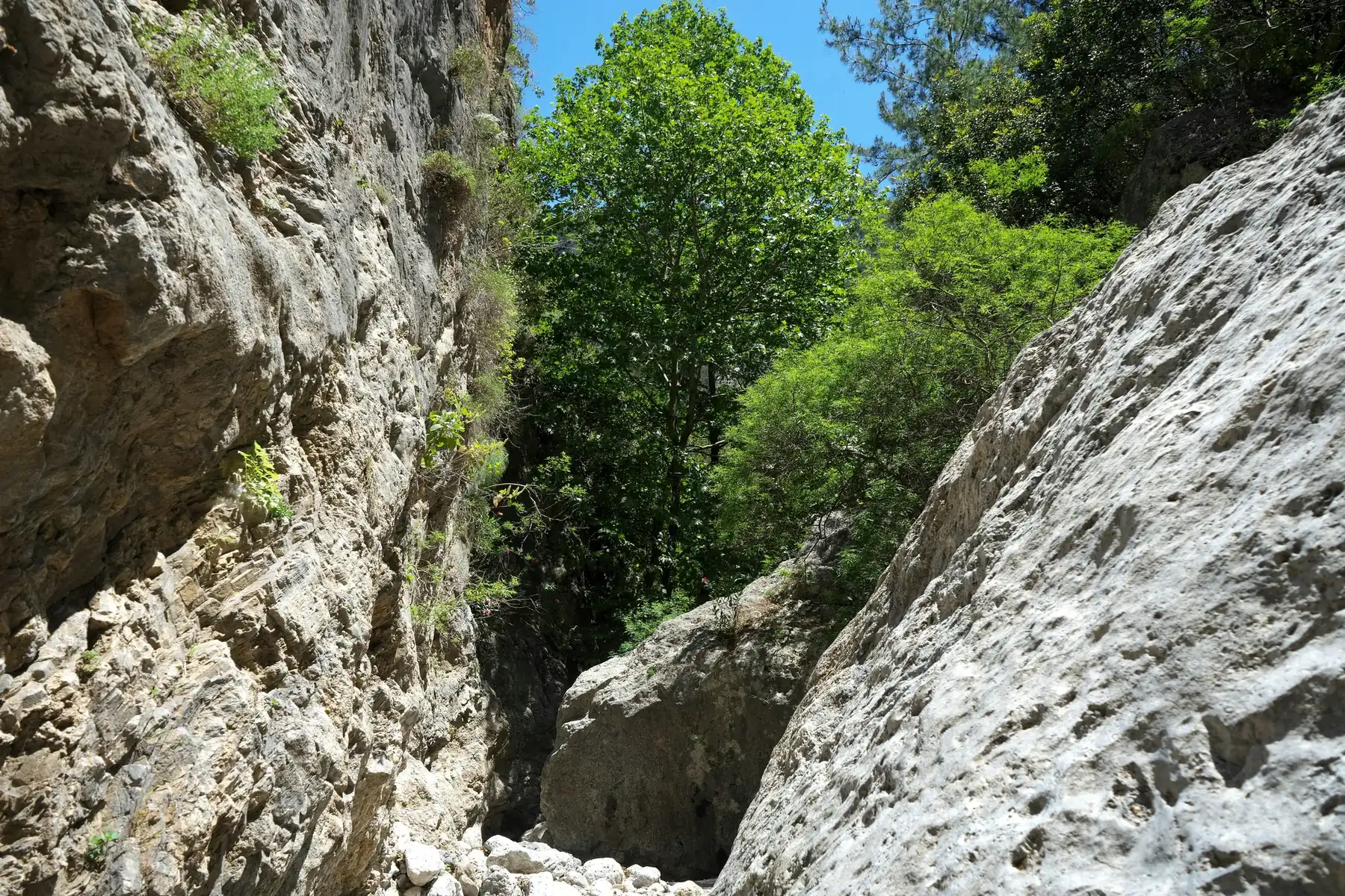 The Unique Tour of Samaria Gorge