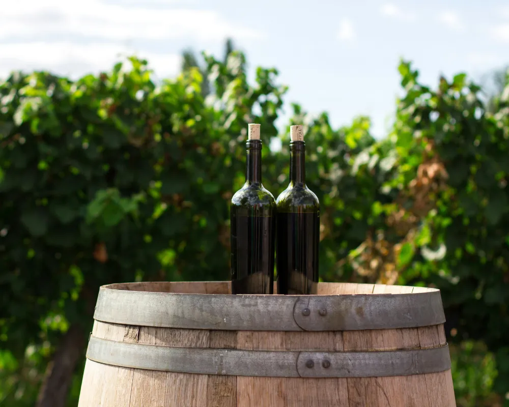 The Miracle of Wine & Olive Oil Tour