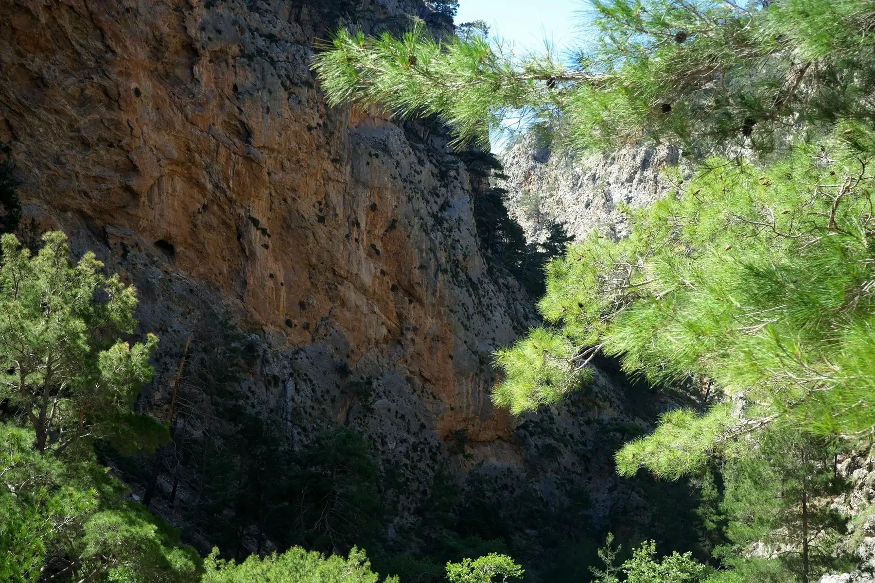 The Roupakias Walking Trails & Kournas Lake Tour