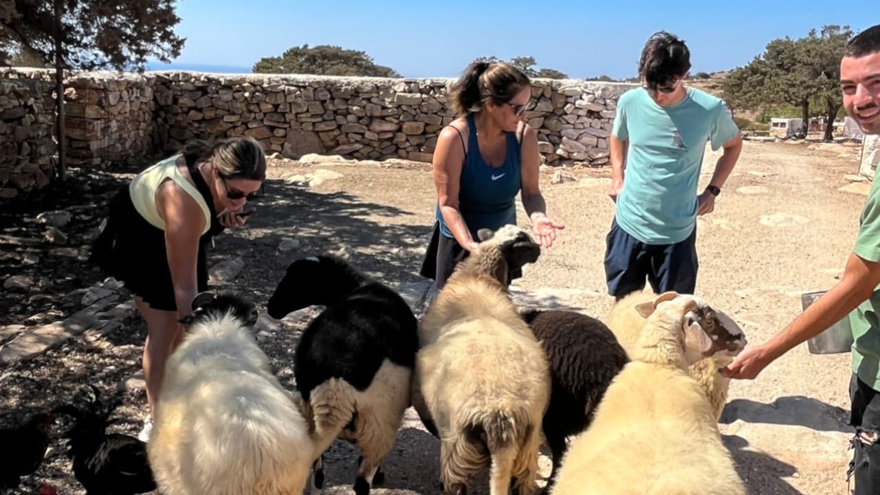 Cultural E-Bike Tour with Cheesemaking Experience