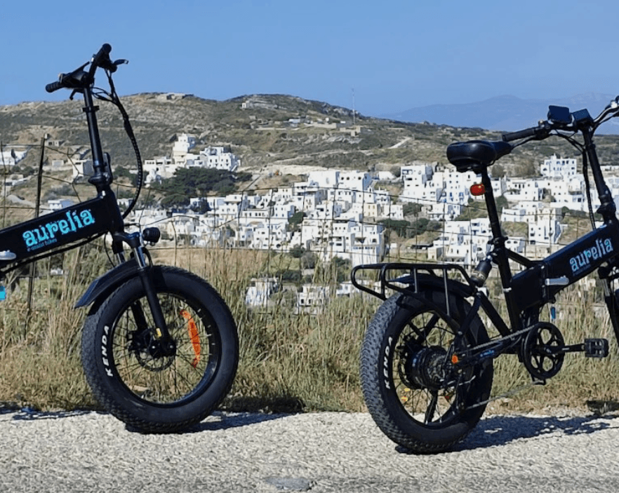 Naxos E-Bike Tour with Farm Visit and Local Tastings