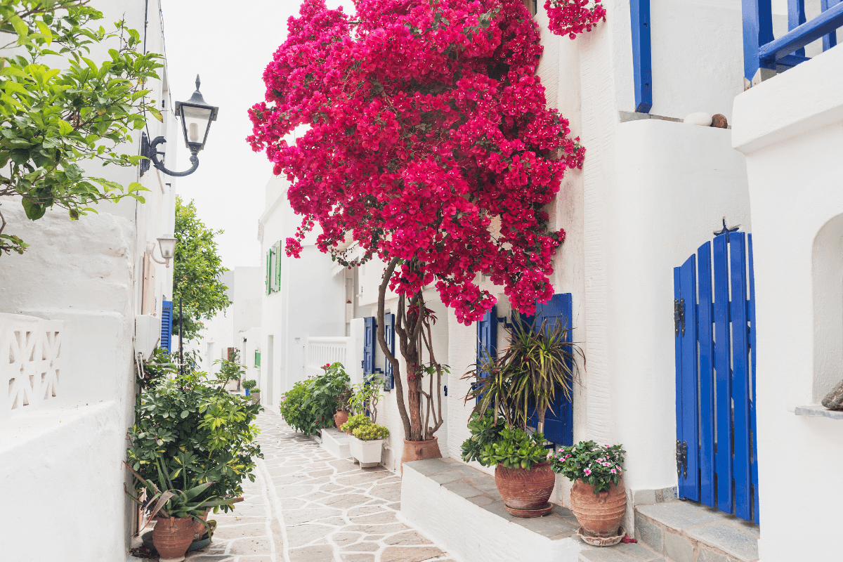 Paros Private Island Tour